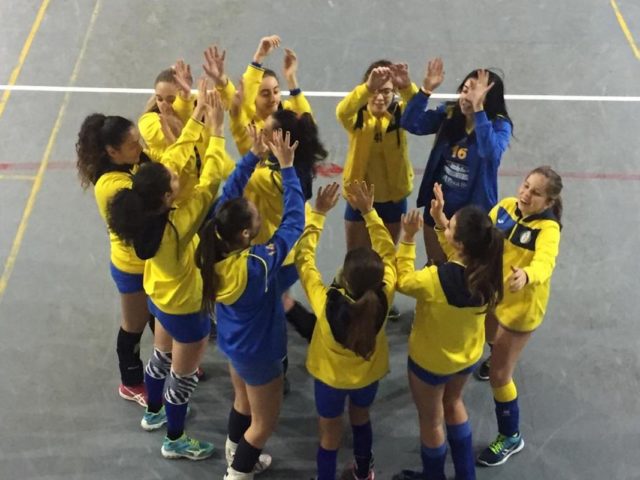 http://www.volleypalermo.it/wp-content/uploads/2019/01/2df-ficarazzi-640x480.jpg