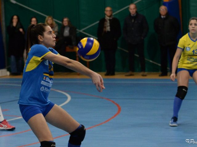 http://www.volleypalermo.it/wp-content/uploads/2019/02/df-catalano-640x480.jpg
