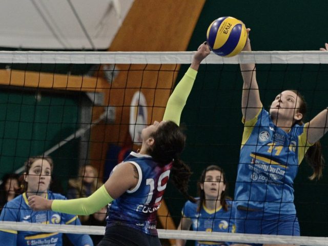 http://www.volleypalermo.it/wp-content/uploads/2019/04/df-dino-3-640x480.jpg